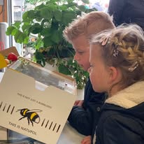Zomer Arrangement | kinderen 4 - 12 jaar | 15 juli